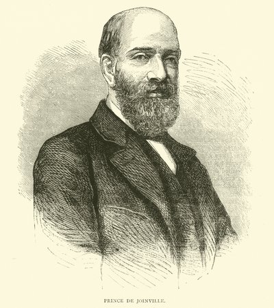 Prince de Joinville, únor 1871 od English School