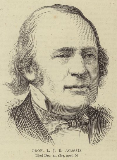 Profesor L. J. R. Agassiz (rytina) od English School