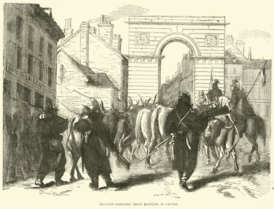 Pruská sháněcí jednotka přivážející dobytek, říjen 1870 od English School