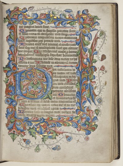 Žaltář s kalendářem použití Sarum, cca 1425-75 (inkoust, barva a zlato na pergamenu) od English School