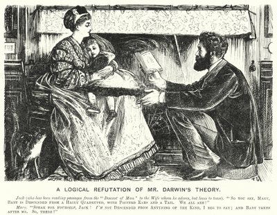 Punch cartoon: Logické vyvrácení teorie pana Darwina (rytina) od English School