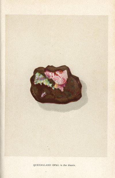 Queensland opál v matrici, z knihy Edwina Streetera „Precious Stones and Gems“, London, George Bell & Sons od English School