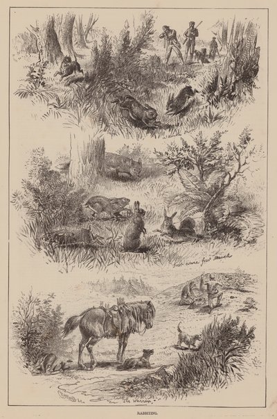 Králíkování (rytina) od English School