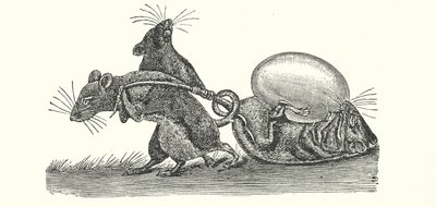 Krysy nesoucí domů vejce (rytina) od English School