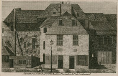 Pozůstatky biskupa Winchesterského paláce od English School