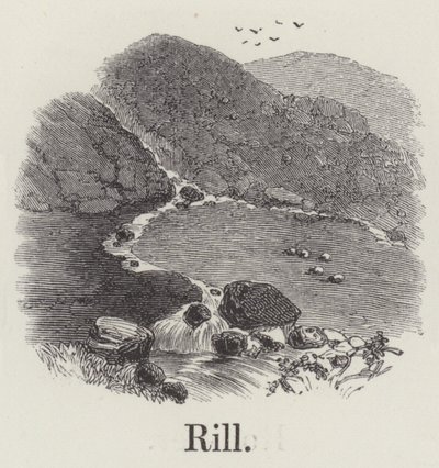 Rill (rytina) od English School
