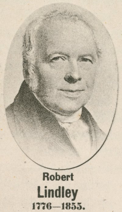 Robert Lindley (hlubotisk) od English School