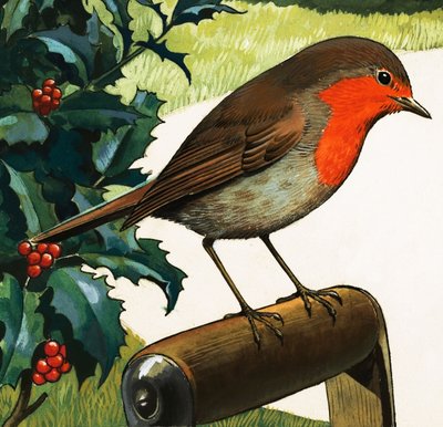 Robin Redbreast (kvaš na papíře) od English School