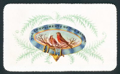 Robins sedí v oválu s kapradinou obklopují, vánoční přání od English School