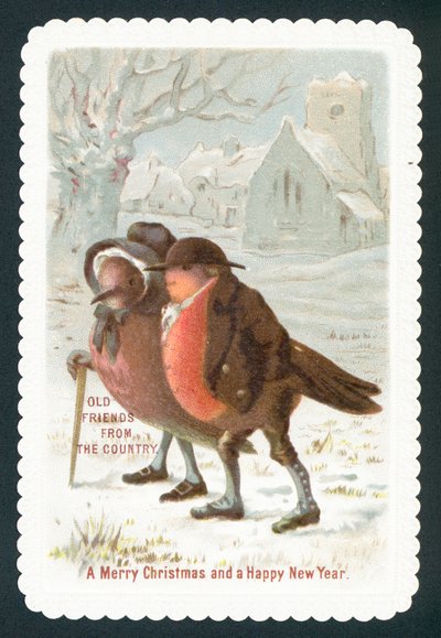 Robins na sobě oblečení, vánoční přání od English School