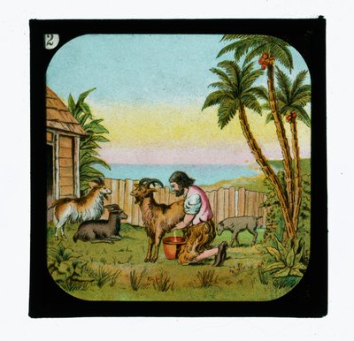 Robinson Crusoe od English School