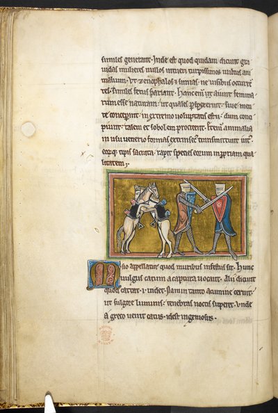 Royal 12 F.XIII, f.42v Dva rytíři bojující pěšky s meči, zatímco jejich koně spolu bojují na zadních nohách. , z Bestiáře (ff. 3-141), Lapidárium (ff. 141v-149)  , 2. čtvrtina 13. století (vellum) od English School
