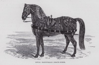 Royal Hanoverian Coach-Horse (rytina) od English School