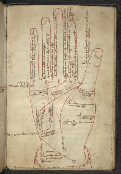Royal MS 12 C XII f.107r Čtení z rukou, ve středověkém mixelánu (inkoust na pergamenu) od English School