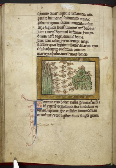 Royal MS 12 C XIX, f.24v Ants, od 