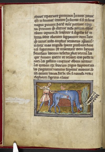 Royal MS 12 C XIX, f.7v Antilopa, od 