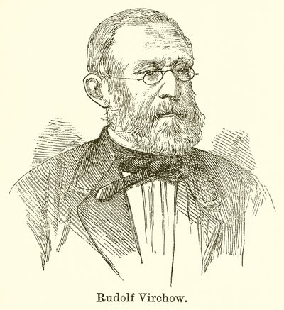 Rudolf Virchow od English School