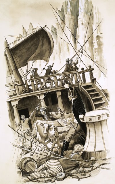 Segelschiff mit Rindern an Bord von English School