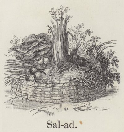 Salát (rytí) od English School