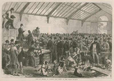 Prodej tuláků psů zabavených policií v Chelsea od English School