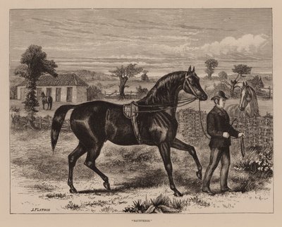 "Saunterer" (rytina) od English School
