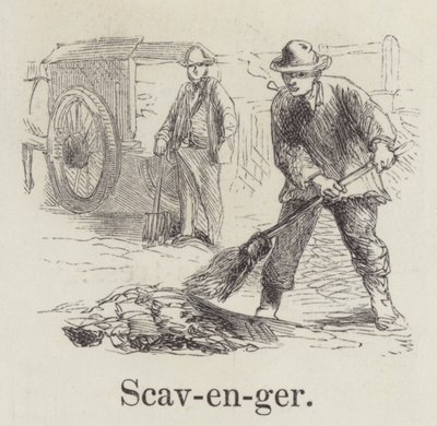 Scavenger (rytina) od English School