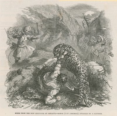 Scéna z nové podívané v Astleys - Morok (Van Amburgh) napaden panterem od English School