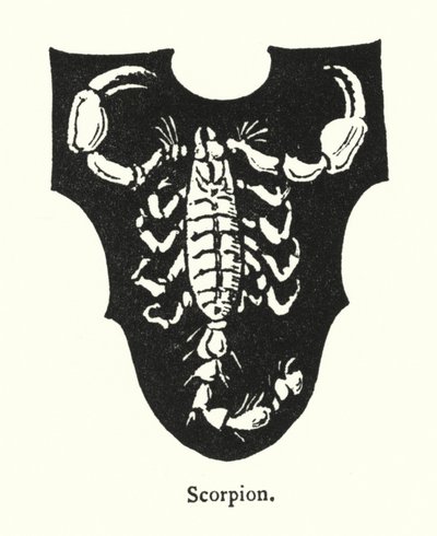 Scorpion (rytina) od English School
