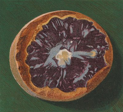 Přímořský oblázek (barevná litografie) od English School