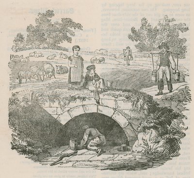 Shepherds Well, Hampstead od English School