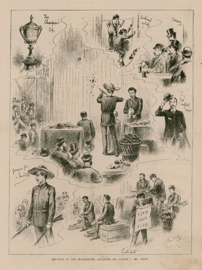 Střelba ve Westminsterském akváriu od English School