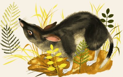 rejsek od English School