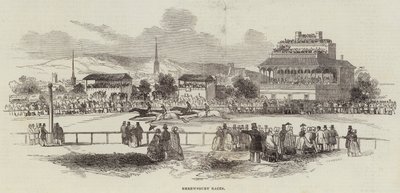 Shrewsbury Races (rytina) od English School