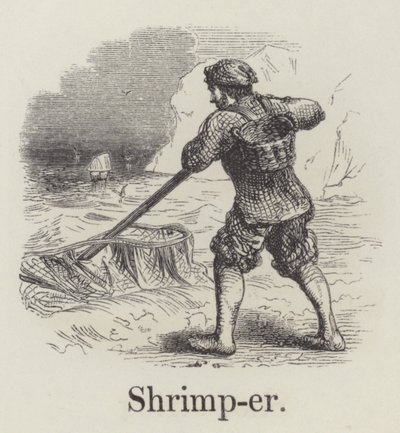 Shrimper (rytina) od English School