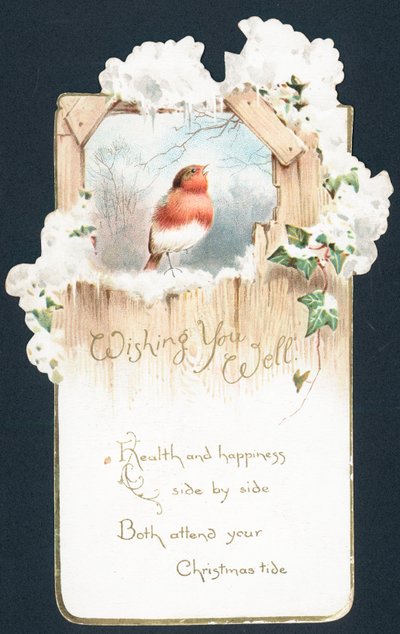 Zpívá Robin, vánoční přání od English School