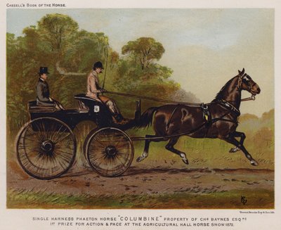 Single Harness Phaeton Horse "Columbine," majetek Charles Baynes Esq od English School
