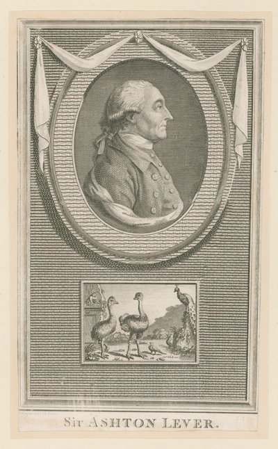 Sir Ashton Lever od English School