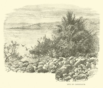 Místo Kafarnaum od English School
