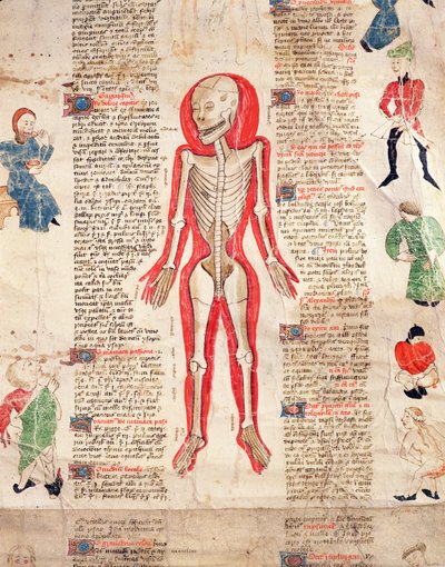 Kostra, z De arte phisicali e de cirugia od Johna Ardene, 1412 od English School