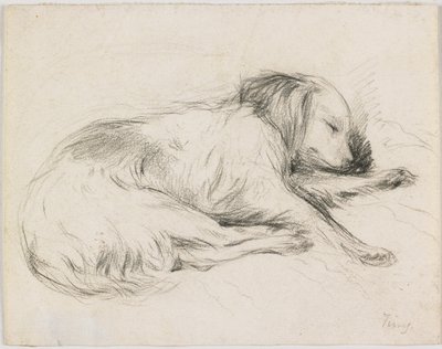 Sleeping Dog, cca 1840 (grafit na papíře) od English School