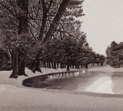 Sophia Gardens, Cardiff (litho) od English School