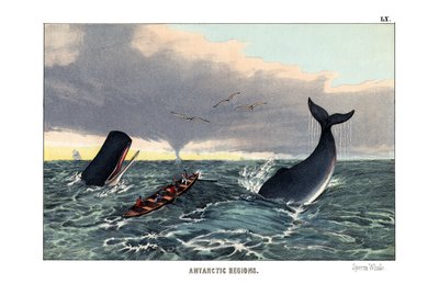 Sperm whale od English School