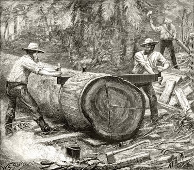 Splitters in the Bush, cca 1880, z 