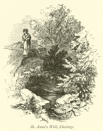 St Annes Well, Chertsey od English School