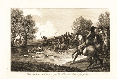 Lovci jelenů a ohaři lovící tele jelena v Epping Easter Hunt od English School
