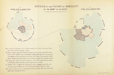 Statistický graf vynalezený Florence Nightingalovou, aby ukázal převahu nemocí jako příčiny úmrtnosti v britské armádě během krymské války, od dubna 1854 do března 1855 a od dubna 1855 do Ma. od English School