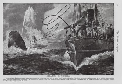 Parník používaný jako velrybářská loď (rytina) od English School