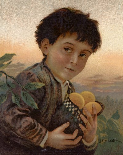 Ukradené ovoce (barva litho) od English School