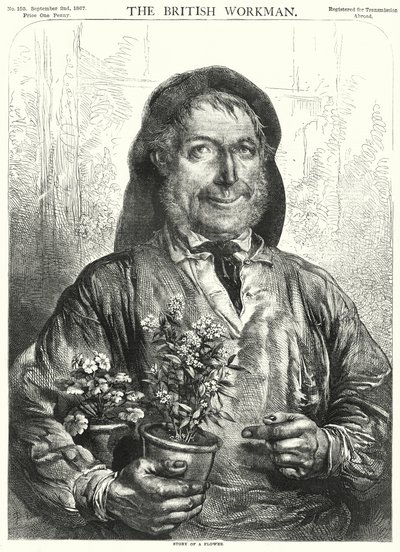 Příběh květiny (rytina) od English School
