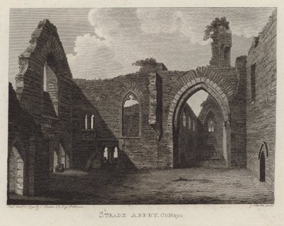 Strade Abbey, County Mayo, Irsko od English School